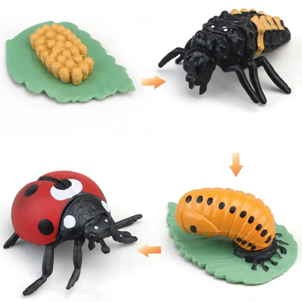 Animal Life Cycle Biology Science Kit Figurines