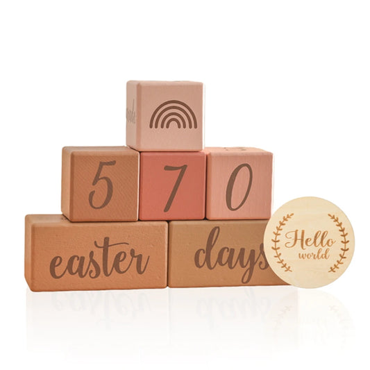 Baby Wooden Milestone Blocks