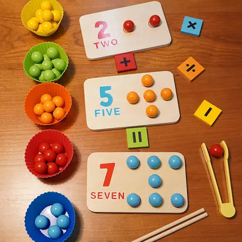 Montessori Arithmetic Math Toy Set