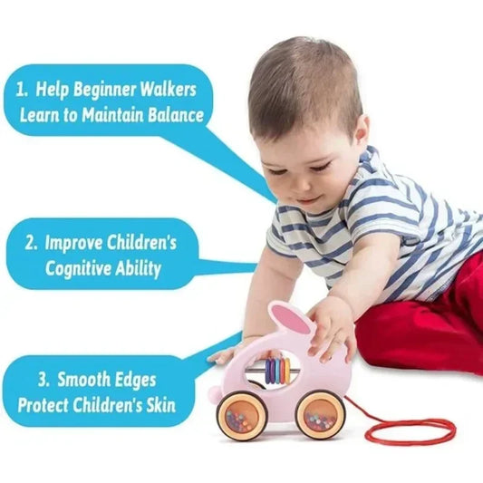 Wooden Pull-Along Animal Toy - Turtle