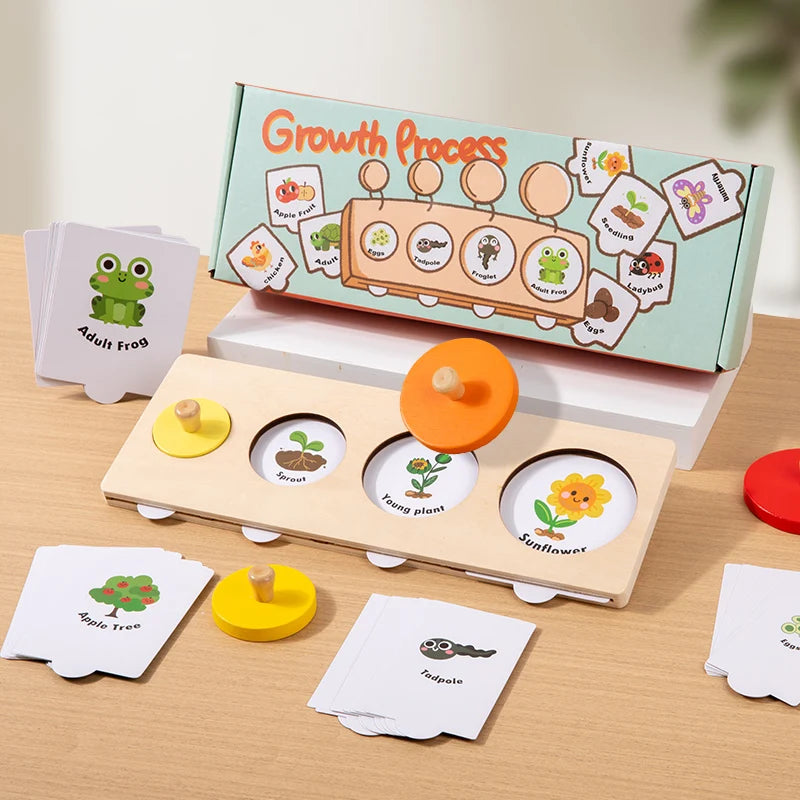 Montessori Wooden Growth Stage Sorting & Matching Puzzle